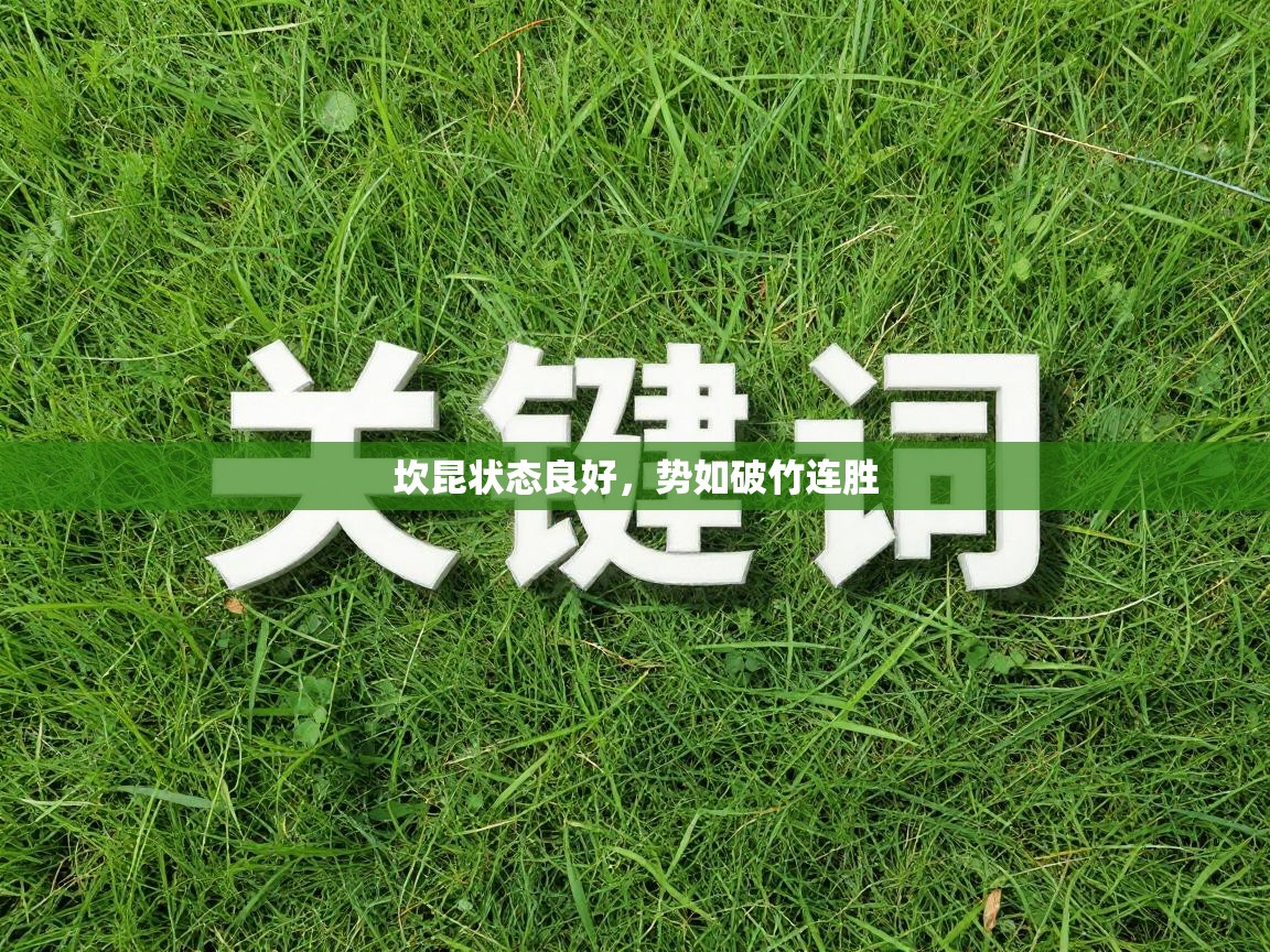 坎昆状态良好,势如破竹连胜 第2张