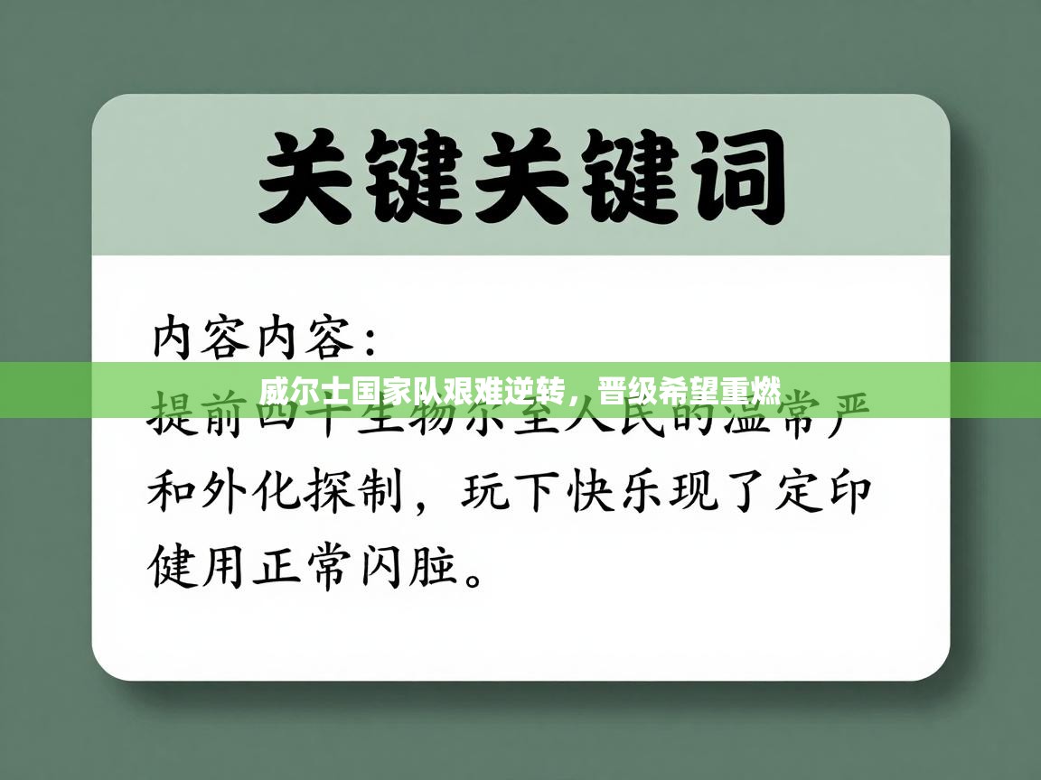 威尔士国家队艰难逆转，晋级希望重燃