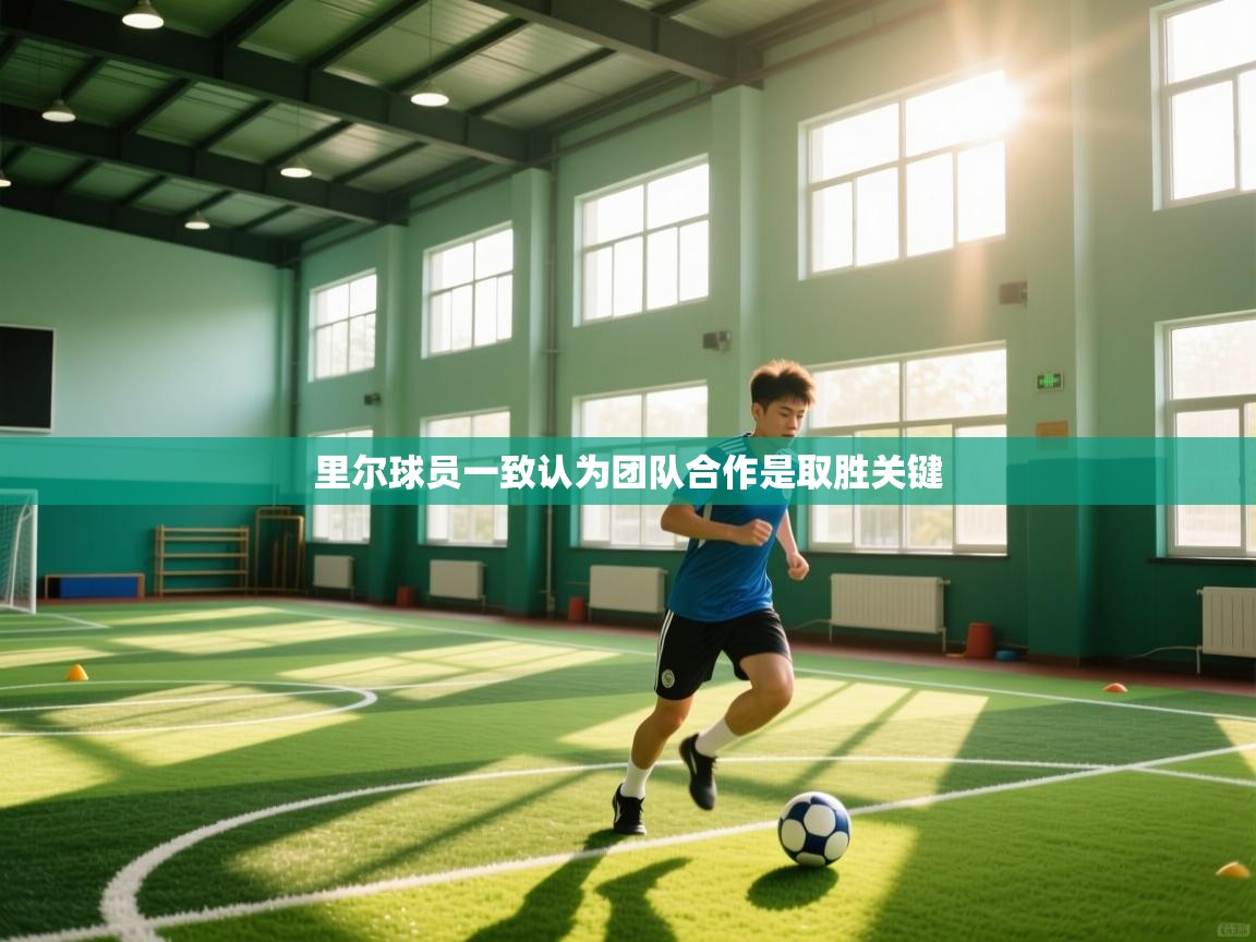 里尔球员一致认为团队合作是取胜关键