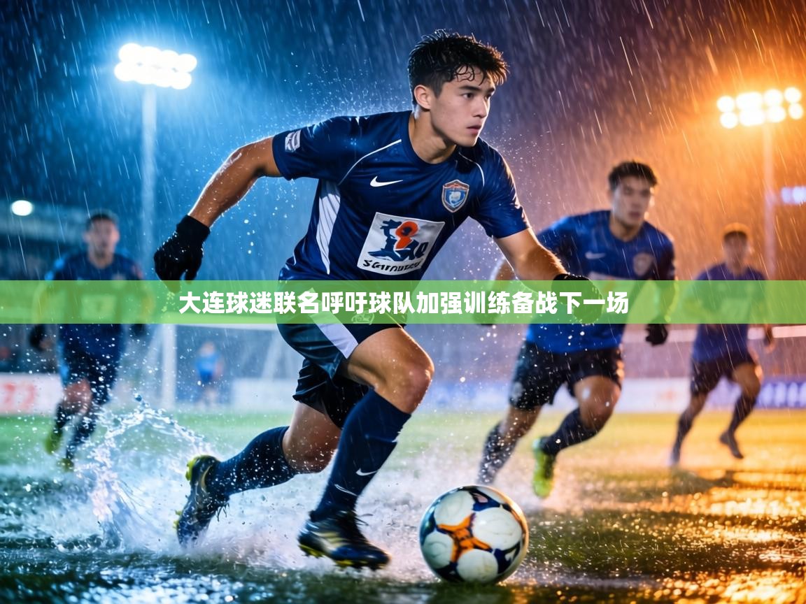 大连球迷联名呼吁球队加强训练备战下一场